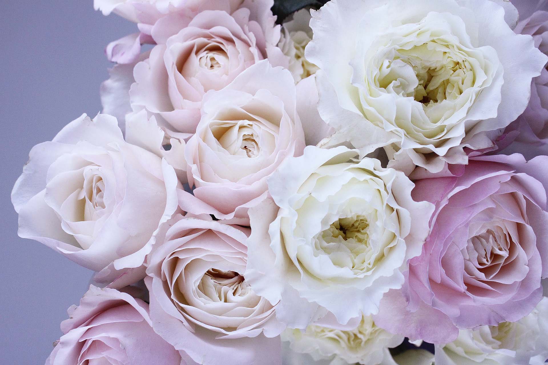 Come scegliere il colore del ricevimento