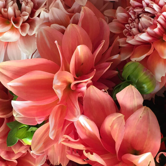 Come scegliere gli addobbi floreali