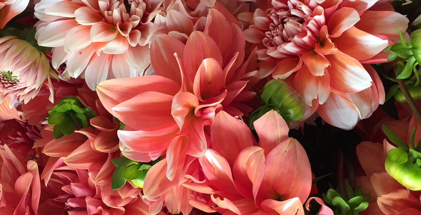 Come scegliere gli addobbi floreali